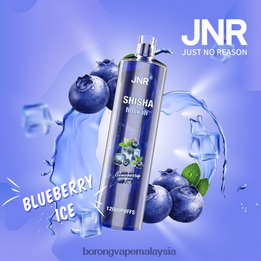 Borong Vape - ais blueberry 88BL20671 JNR SHISHA