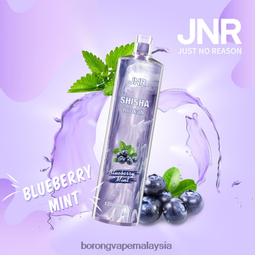 pudina blueberry