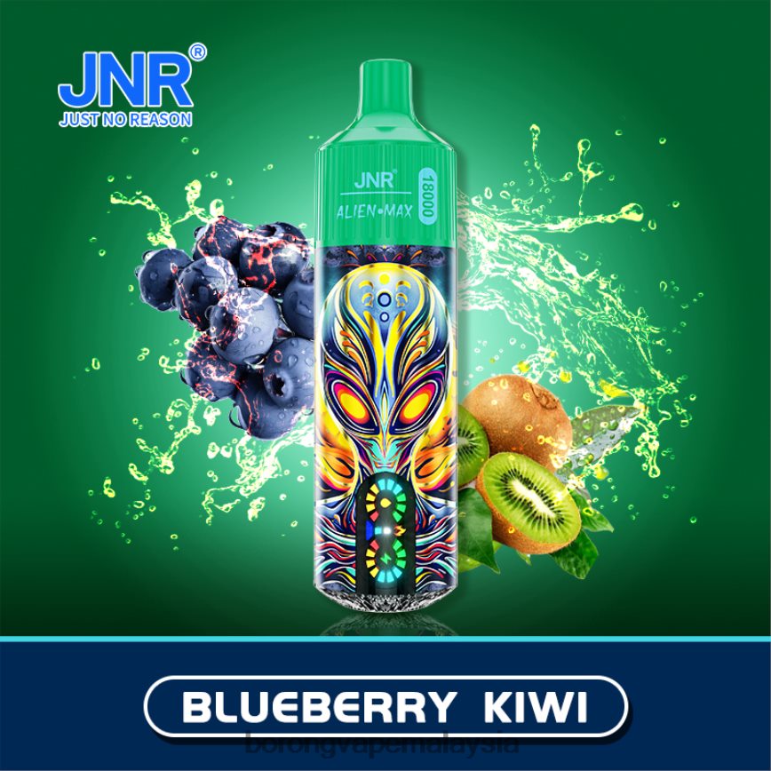 kiwi blueberry