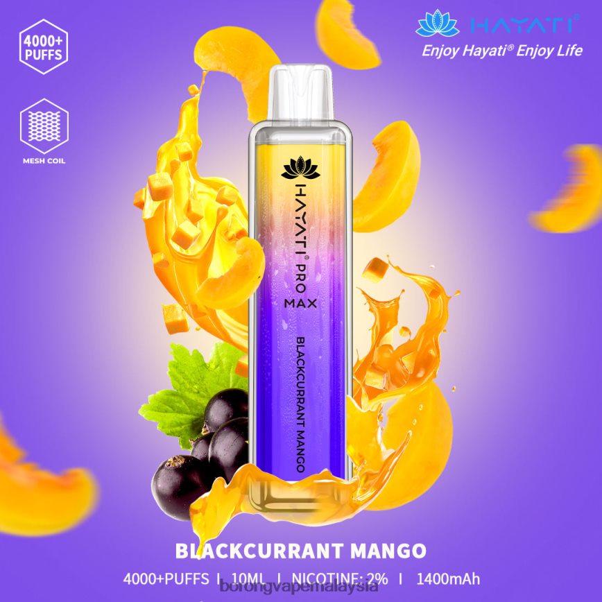 mangga blackcurrant