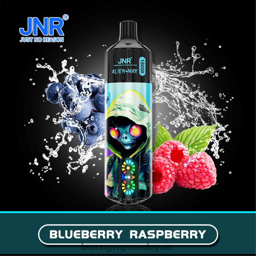 raspberi blueberry