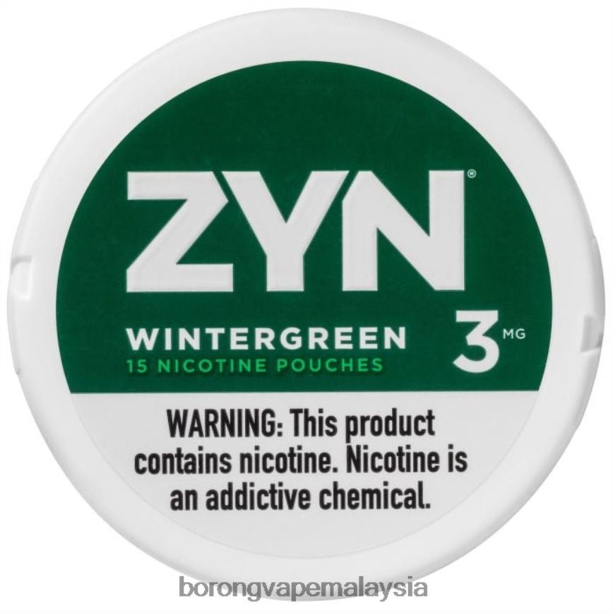 Vape Borong Malaysia Review - wintergreen 88BL2024 ZYN kantung nikotin 3mg