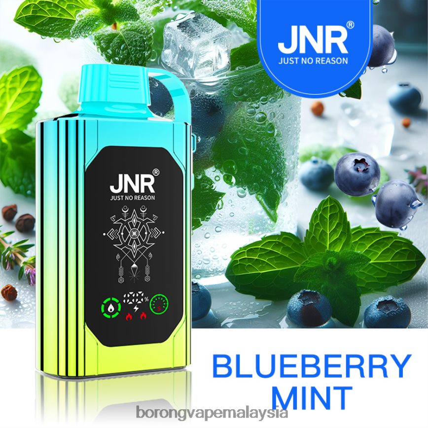 Rokok Elektronik Vape - pudina blueberry 88BL20618 JNR SHISHA BOX